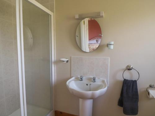 a bathroom with a sink and a shower at Bolger House in Blackwater