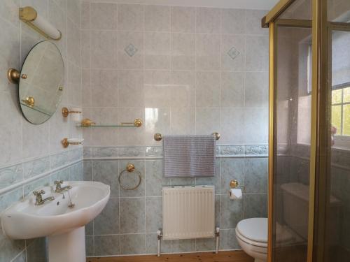 W łazience znajduje się umywalka, toaleta i lustro. w obiekcie Bolger House w mieście Blackwater