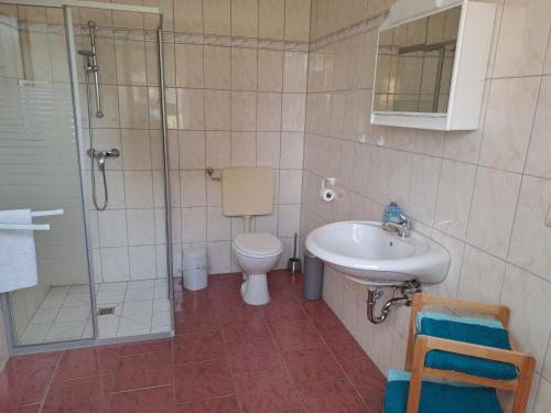 een badkamer met een douche, een toilet en een wastafel bij Ferienwohnung Riemer in Garz