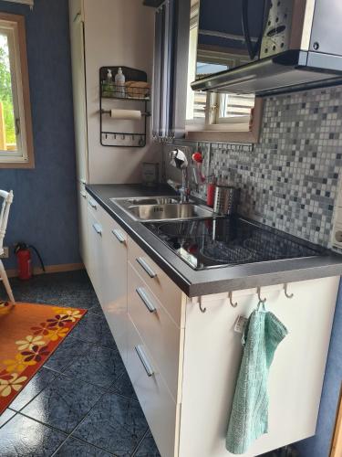 a kitchen with a sink and a counter top at Stuga i naturen in Simlångsdalen