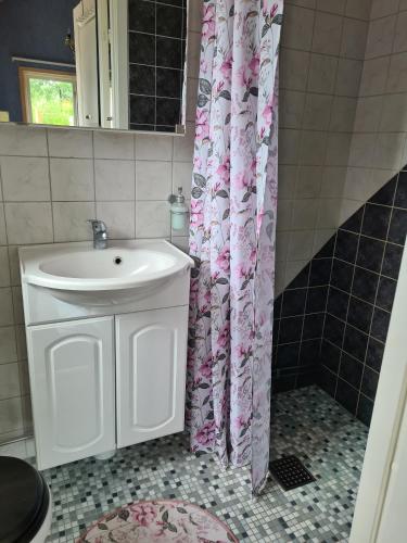 a bathroom with a sink and a shower curtain at Stuga i naturen in Simlångsdalen