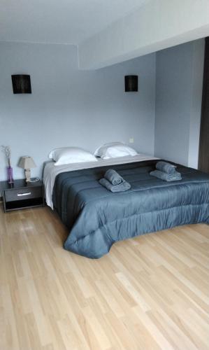 une chambre avec un grand lit avec deux oreillers dessus dans l'établissement Gîte des oliviers, à Saint-Galmier