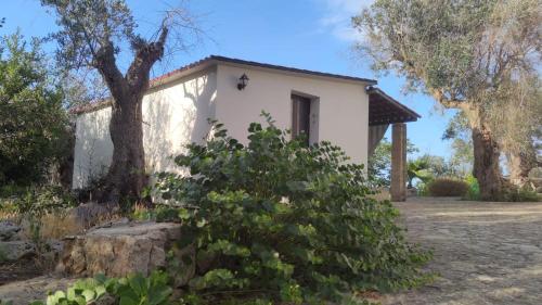 ein kleines weißes Haus mit einem Baum davor in der Unterkunft Casa Borea in Andrano