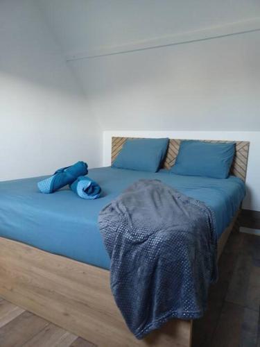 - un lit avec des oreillers bleus et une couverture dans l'établissement Le Citadin aéroport Beauvais Paris, à Beauvais