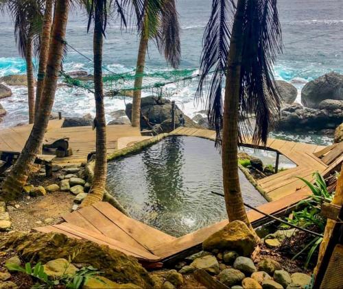 a pool of water with palm trees and the ocean at kelly tours in Capurganá