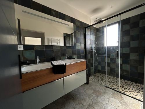 uma casa de banho com um lavatório e um chuveiro em Les Jardins des Brandes em La Rochelle