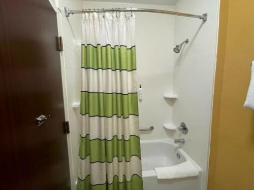 a bathroom with a green and white shower curtain at Fairfield Inn and Suites by Marriott Potomac Mills Woodbridge in Woodbridge