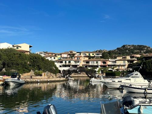 Φυσικό τοπίο κοντά σε αυτό το διαμέρισμα