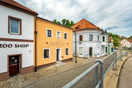 a row of buildings on a street at Penzion Golden Crown in Český Krumlov