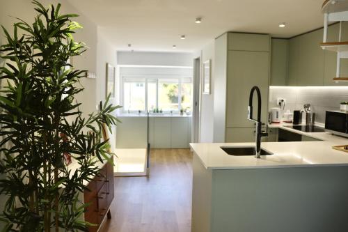 a kitchen with a plant in the middle of it at Lisbon, T2 renewed duplex with river view, Beato, Lisbon in Lisbon