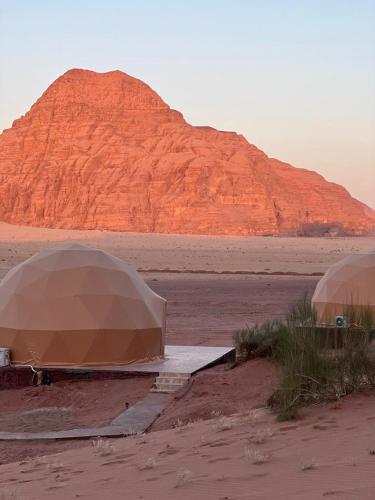 two tents in the desert with a mountain in the background at Lulua luxury camp in Wadi Rum