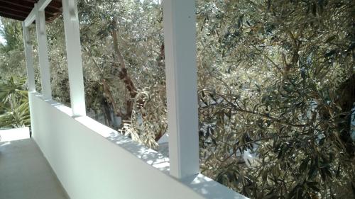 a view of a tree from the balcony of a house at Amaranthos Skiathos View in Megali Ammos