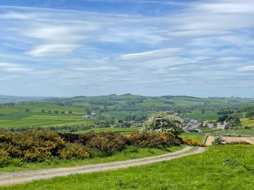 a dirt road in the middle of a green field at Stay on the Hill - Self Catered Cottages Laverick and Bothy in Hexham