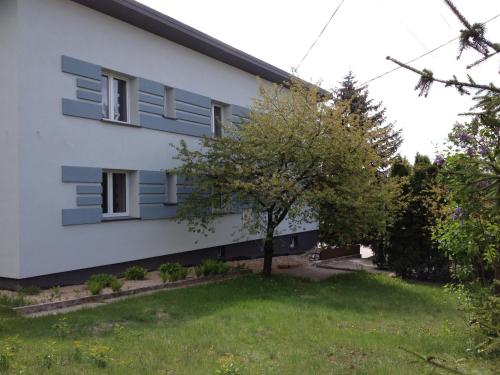 a white building with blue windows and a green yard at Willa Na Skraju Puszczy in Zaścianki