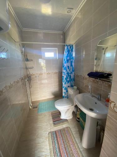 a small bathroom with a toilet and a sink at Guest house and yurt camp Svetlana in Bokonbayevo