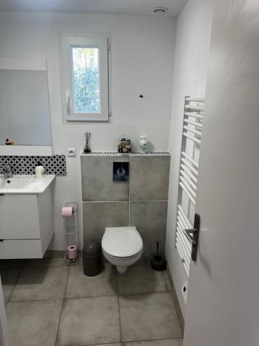 a bathroom with a toilet and a sink and a window at Maisonnette 32m2 climatisé avec jacuzzi au calme. in Trans-en-Provence
