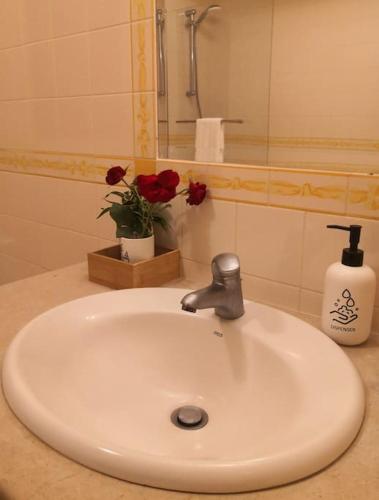 a white sink in a bathroom with a mirror at JOHN's Farm Country HOUSE in Montemor-o-Novo