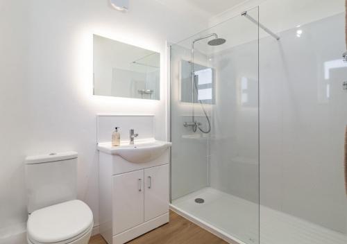 a bathroom with a toilet and a sink and a shower at Fieldview in East Barsham