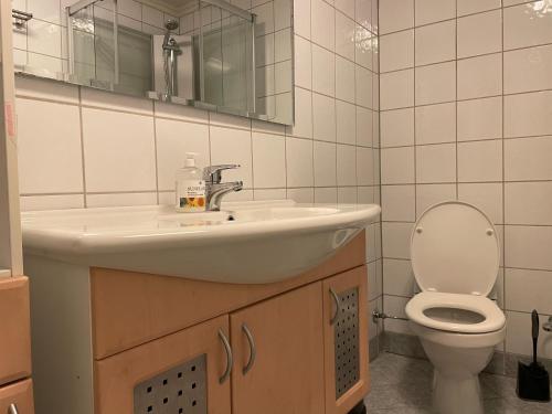 bagno con lavandino e servizi igienici di Lovely condo with fireplace & parking@city center a Drammen