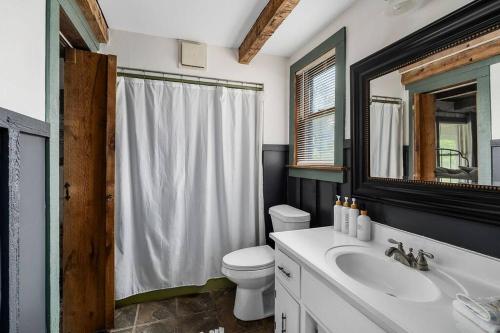 uma casa de banho com um lavatório, um WC e um espelho. em Rustic Cabin, Dock, Firepit, Kayaks & Games em Winchester
