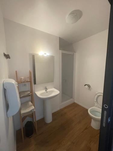 a bathroom with a sink and a toilet at Ar-Gavotenn in Le Saint