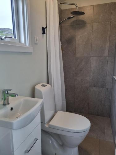 een badkamer met een toilet, een wastafel en een douche bij Hvammur 6 with private hot tub 