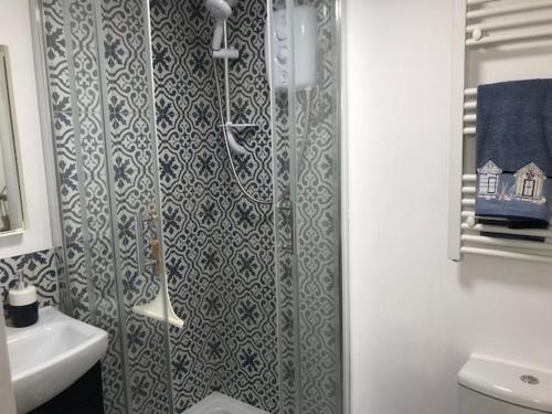a bathroom with a shower and a toilet and a sink at The Blue Porch Staithes in Staithes