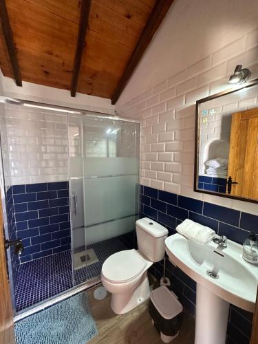 a bathroom with a toilet and a sink and a shower at Chozos Cottage by VV Canary Ocean Homes in Las Cruces