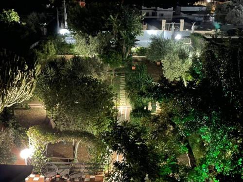an overhead view of a garden at night at Grotta dei Puntali B&B in Carini