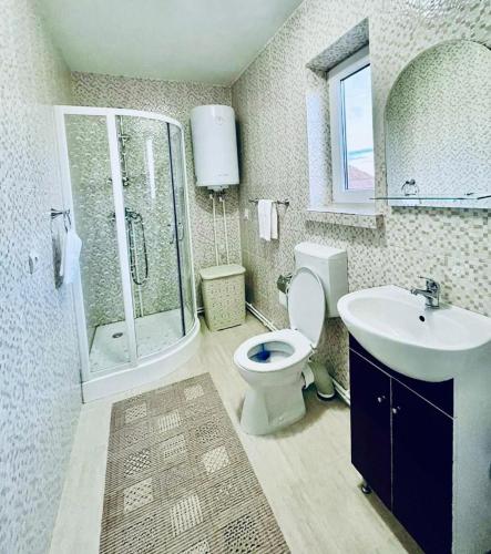 a bathroom with a toilet and a shower and a sink at Casa Maria Platoul Luncanilor in Luncani