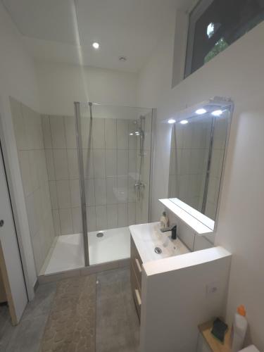 une salle de bain avec une douche, un lavabo et un miroir dans l'établissement Au domaine des roches, à Saint-Pierre-sur-Dives