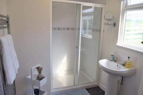 a bathroom with a shower and a sink at Westcroft 6 Withnoe Terrace in Torpoint