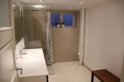 a bathroom with a shower and a sink and a mirror at Close to Centrum, beach and subway in Copenhagen