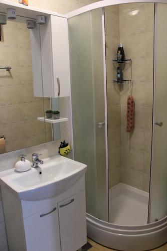 La salle de bains est pourvue d'un lavabo et d'une douche. dans l'établissement Apartments Ivan & Ana, à Korčula