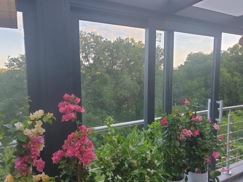 Balkón nebo terasa v ubytování Cozy room with a beautiful garden view