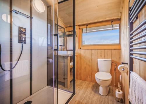 a bathroom with a toilet and a shower at Folly Farm Holiday Park in Kilgetty