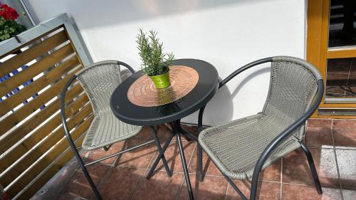 Una mesa negra con dos sillas y una planta. en Apartmán Smrk, en Vrbno pod Pradědem