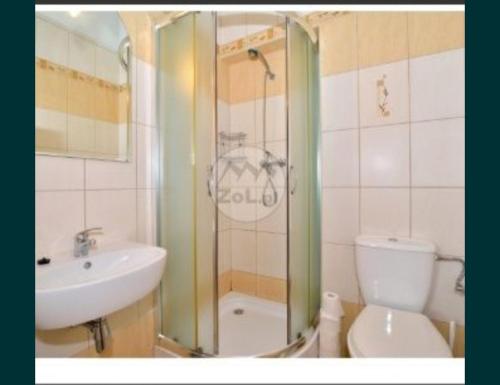 a bathroom with a shower and a toilet and a sink at Willa nad Potokiem in Zakopane