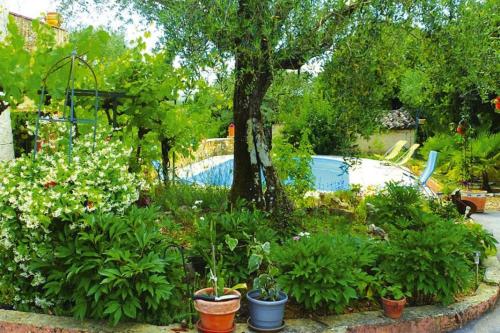 a garden with a swimming pool and some plants at Ma Vie Là in Fayence