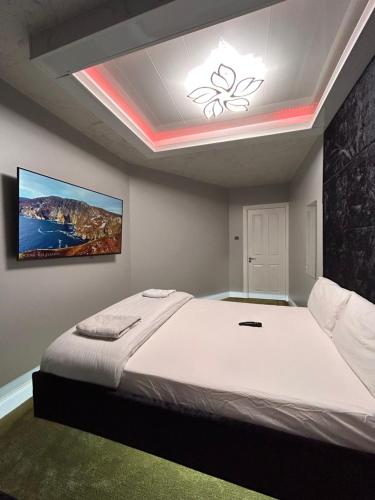 1 dormitorio con 1 cama grande y una pintura en el techo en Lucid Magic Dream, en Limerick