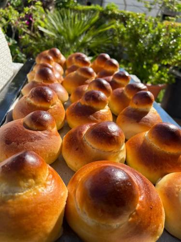 a bunch of buns are lined up on a tray at Villa Marina B&B in Cleto