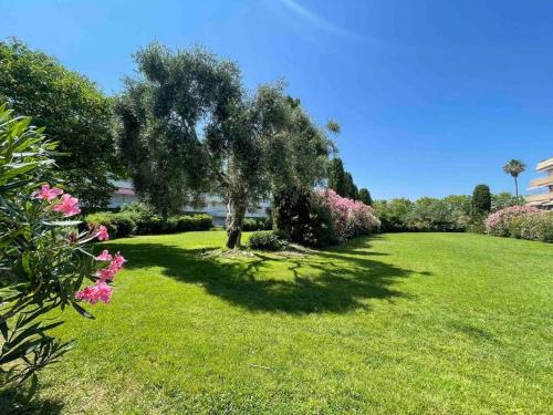 Studio avec terrasse au centre de Saint-Tropez