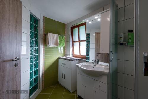ein grün-weißes Bad mit einem Waschbecken und einem Spiegel in der Unterkunft Zidan'ca Rošel in Dolenjske Toplice