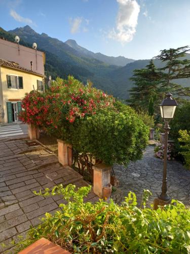 un lampadaire et un buisson à fleurs rouges dans l'établissement Nora's House Elba Island, à Marciana