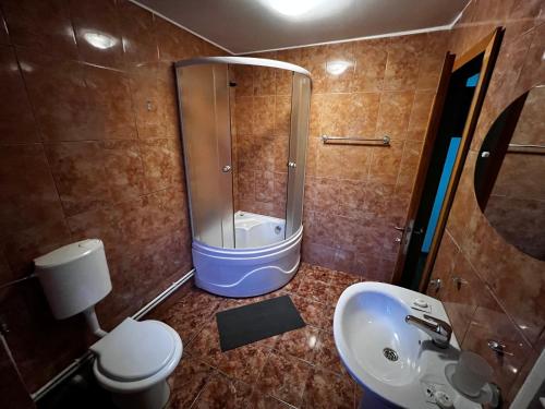 a bathroom with a shower and a toilet and a sink at Pensiunea Flora in Cîrţişoara