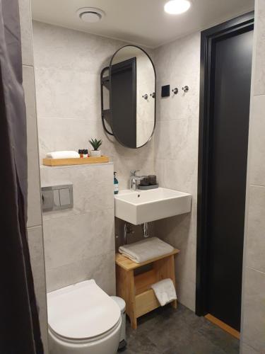 y baño con lavabo, aseo y espejo. en Loft Style Studio Apartment- Free Parking- Free Gym- Keyless Access en Tartu