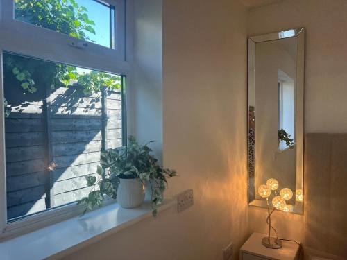uma casa de banho com uma janela e uma planta numa saliência em The Sanctuary em Exmouth