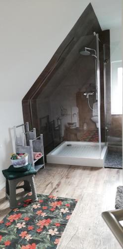 a large bathroom with a shower and a rug at Landhaus Löwenzahn in Dornum