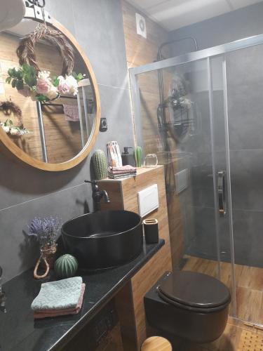 a bathroom with a sink and a toilet and a mirror at Vrnjačka Promenada - Pešačka zona - Baby friendly in Vrnjačka Banja