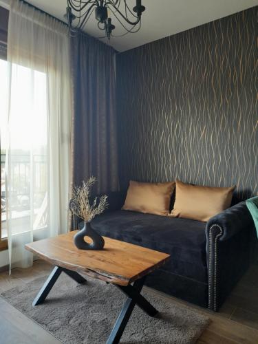 a living room with a couch and a coffee table at Vrnjačka Promenada - Pešačka zona - Baby friendly in Vrnjačka Banja